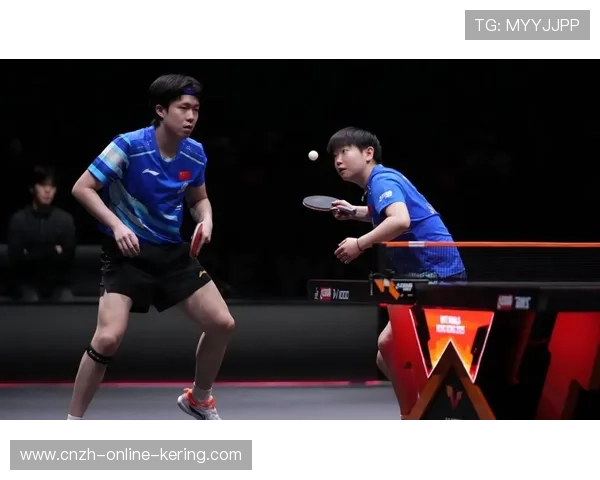 2026 热门乒乓球底板性能排名：专业选手在世界杯年的器材选择参考。